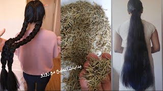 الطريقة الصحيحة لاستخدام الروز ماري(اكليل الجبل) للشعر/المعجزة الربانية لتطويل الشعر وتكثيفه