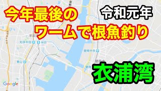 衣浦湾 今年最後のワームで根魚釣り