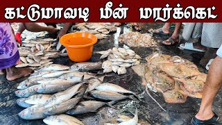 வஞ்சரம் மீன் ஏலம் கட்டுமாவடி மீன் மார்க்கெட் | Kattumavadi Meen Market