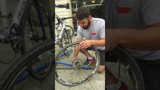 Bicycle setup & maintenance