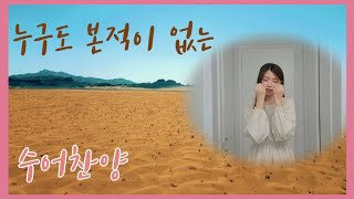 누구도 본적이 없는 🏜 (제이워십-이윤화) 🏜 수어찬양 🏜 수화찬양 🏜 거울모드