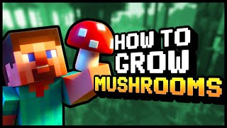 How To Grow Mushrooms In Minecraft Minecraft Server Hosting