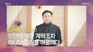 [생명의 삶 큐티] 20200215 인간의 악한 계략조차 하나님 섭리를 이룹니다 (요한복음 11:45~57) @ 오민 목사