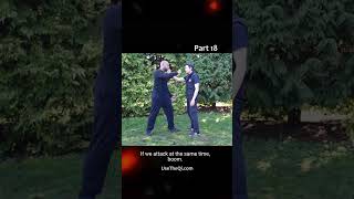 Wing Chun vs Mantis Kung Fu Techniques - Part 18 #shorts