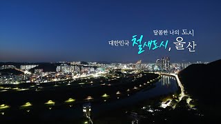 대한민국 철새 도시, 울산