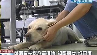 帶導盲犬搭公車遭嗆 視障朋友：好受傷