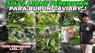 WOW..!! SIAP2 TUMBUHAN DI AVIARY BAKAL JADI AJANG PEREBUTAN PARA BURUNG..!