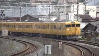 【JR向洋駅にて】 カープ電車・115系・103系など　'13/3/24