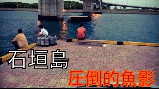 【石垣島】堤防際のエサ釣り。