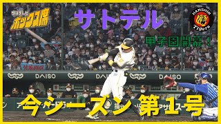 【甲子園開幕】佐藤輝明が今シーズン第１号！【反撃の狼煙】4月5日阪神ーDeNA戦 #佐藤輝明