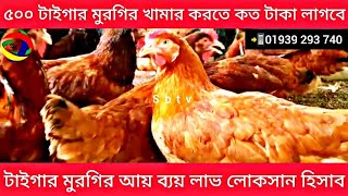 বর্তমানে ৫০০ #টাইগার  মুরগির খামার করতে কত টাকা লাগবে? কিভাবে ৯০ হাজার টাকা আয় করবেন।#tiger