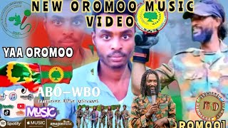 new oromo music 2024 |wallisaa Abdii Kaliifaa| Yaa oromoo #music #wbo