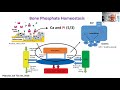 evaluation of patients with hyperphosphatemia