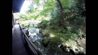 Daitokuji and Shoren-in temple