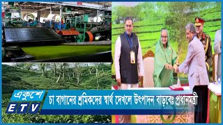 চা বাগানের শ্রমিকদের স্বার্থ দেখলে উৎপাদন বাড়বেঃ প্রধানমন্ত্রী