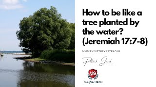 139 How to be like a tree planted by the water? (Jeremiah 17:7-8) | Patrick Jacob