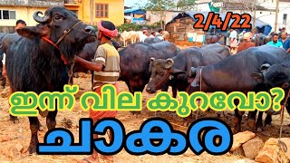 റംസാൻ ചാകര | വിലസഹിതം | Kuzhalmannam chantha | 2/4/22 | Buffalo | TECH AND VLOGS