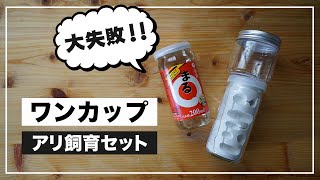 【こりゃダメだ〜】ワンカップでアリ飼育ケースは作れるか！？【アリ飼育キット自作】