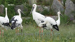 [전북생생TV] #본격교류영상_충남편 [예산 황새공원]