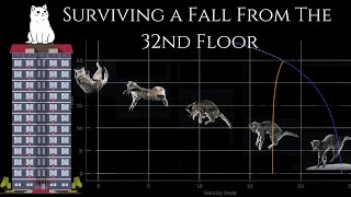 Cats: Why Higher Falls Mean Better Survival