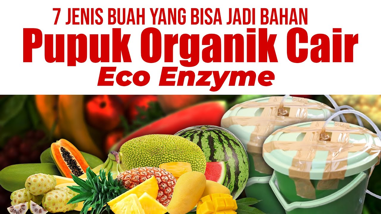 7 JENIS BUAH YANG BISA JADI BAHAN PEMBUAT PUPUK ORGANIK CAIR ECO ENZYME ...