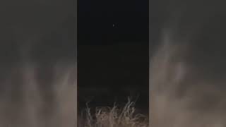 Multiple Blue UFO sightings in Hawaii