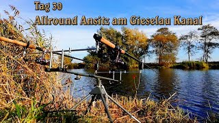 Allround Ansitz  am Gieselau-Kanal | Tag 30 | Aal | Barsch | Schleie | Karpfen | Hecht | Vlog