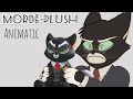 Mordecai plush - Lackadaisy Animatic ♣️