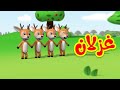 غزلان - طيور بيبي Toyor Baby
