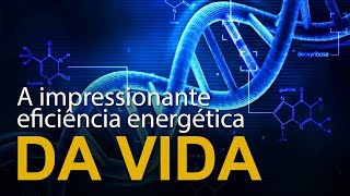 A impressionante eficiência energética da vida