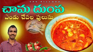 #vlog | ఎండు చేప చామదుంపల పులుసు | chama dhumpa pulusu | TPV pillodu