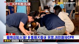 寵物店陷火海！ 多隻萌犬昏迷 民眾、消防跪地CPR@newsebc