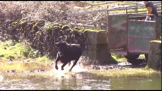 Trabalho de Campo CAJAF em Dezembro de 2024