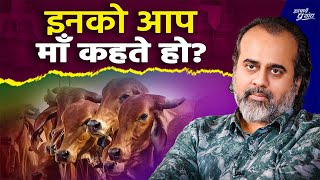 इनको आप माँ कहते हो? || गौरी मौलेखी जी से प्रशांतअद्वैत संस्था की वार्ता (भाग 3)