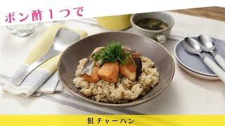 ポン酢１つで 鮭チャーハン【きちんとキッチンbydaiei】