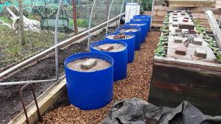 SHEDWARS21: My Double Skinned Polytunnel Rebuild Creating Self Sufficiency For The Future ♻️ PART 1