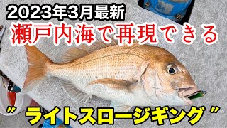 シンプルに「上げて〜下げる〜」で多魚種が狙えるライトスロージギング