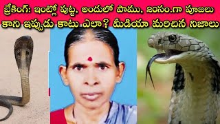 Snake Life Span ఎంత? ఆ పాము, తన భర్త మరుజన్మనా?🤔 ముందు కాటేశాక ఈమె ఏం చేసింది? మరలా కాటేశాక ఏమైంది🧐