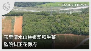 玉里清水山林道濫種生薑 監院糾正花縣府｜每日熱點新聞｜原住民族電視台