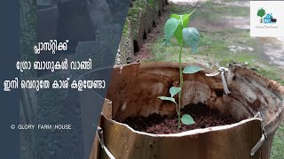 How to Make a Biodegradable Grow Bag | പാള വെച്ച് നമുക്കൊരു കിടിലന്‍ ഗ്രോ ബാഗ്‌ ഉണ്ടാക്കിയാലോ