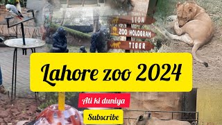 Lahore Zoo 2024/European style zoo in Pakistan/Lahore zoo reopened 2024/Ati ki duniya/