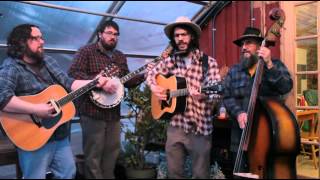 The Dishonest Fiddlers - There Ain't Enough Water in the Water