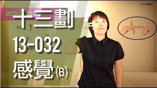 臺灣手語語料彙整【感覺B】13 032