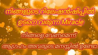 💯നിങ്ങളുടെ റിലേഷൻഷിപ്പിൽ ഉടനെ വരുന്ന Miracle..നിങ്ങളെ വേണമെന്ന്  ആഗ്രഹം അവരുടെ മനസ്സിൽ ഉണ്ടോ#tarot