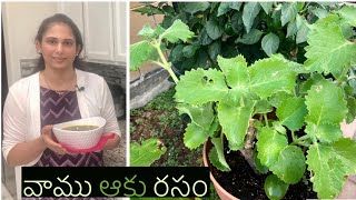 Healthy Ajwain Leaves Rasam for better digestion|వాము ఆకు రసం| అజీర్తి \u0026 కడుపు నొప్పిని తగ్గిస్తుంది