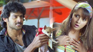 Rudran Malayalam Movie Scenes | Prabhas & Trisha Fight for Dog