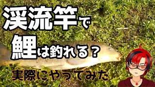 【検証】渓流竿で鯉を釣り上げられるのか！？【釣星Anri】