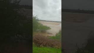 Wardha River Overflow | Patala | Chandrapur | Marda dam