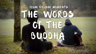 The Words of the Buddha (Part One) | Plum Village Moments