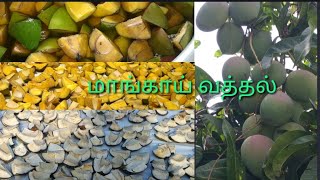 Maa vathal | மா வத்தல் செய்வது எப்படி ? | How to make Mango vathal | dried raw Mango recipe